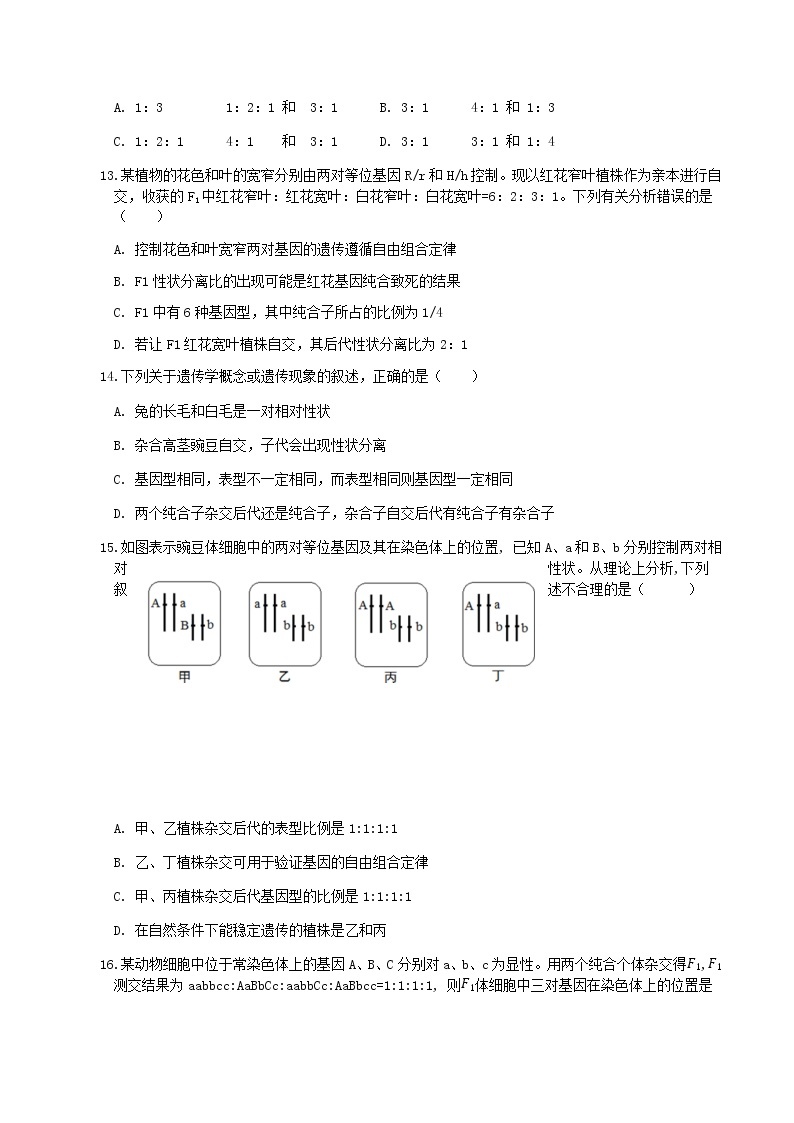 2022-2023学年安徽省芜湖市北京师范大学芜湖附属学校高一下学期期中考试生物试卷03