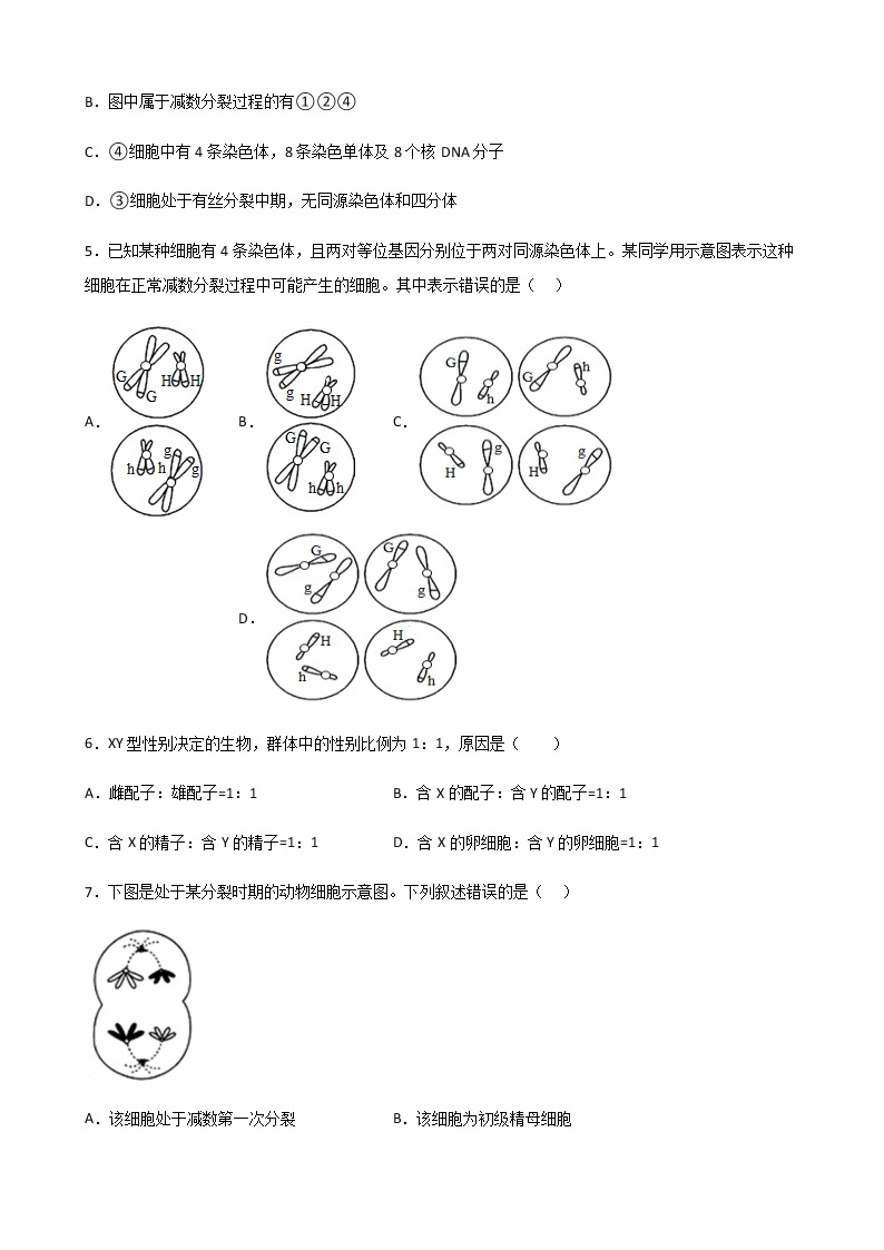 2022-2023学年广东省深圳市沙井中学高一下学期期中考试生物试题含答案02