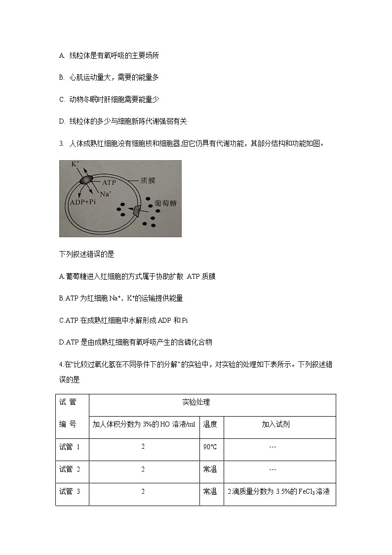 2022-2023学年河南省部分学校大联考高一下学期期中考试生物试题含解析02