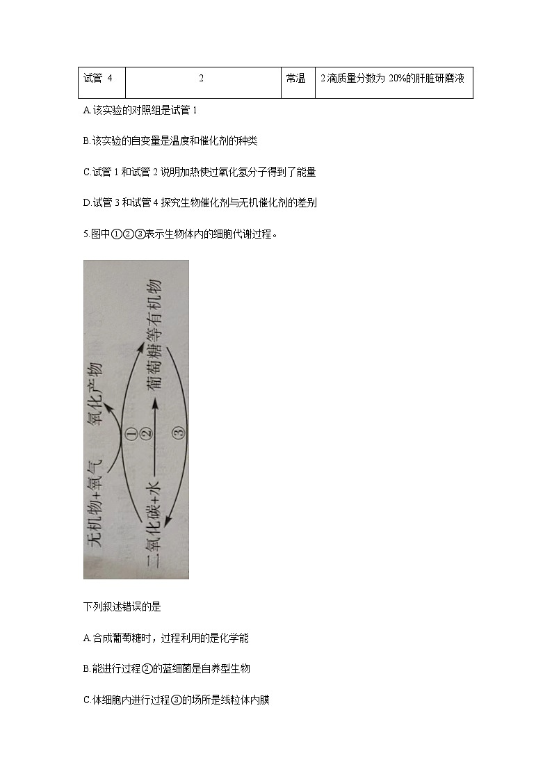 2022-2023学年河南省部分学校大联考高一下学期期中考试生物试题含解析03