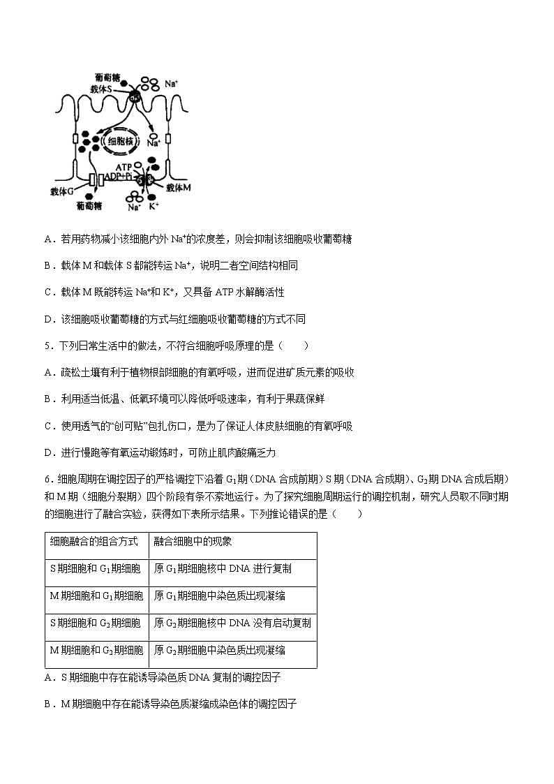 2022-2023学年湖北省鄂东南省级示范高中教育教学改革联盟学校高一下学期期中联考生物 试卷02