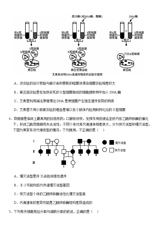 2022-2023学年湖北省荆州市沙市中学高一下学期4月期中生物试题含答案02
