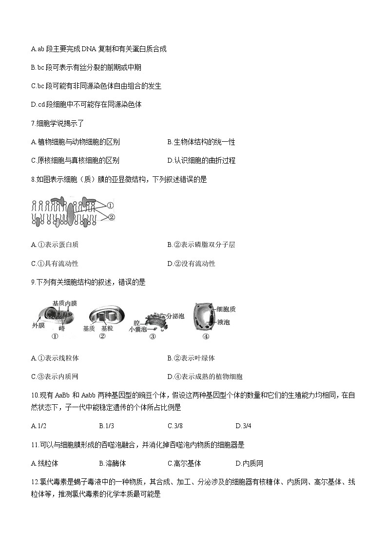 2022-2023学年江苏省淮安市高中校协作体+2022～2023学年高一下学期期中生物试题含答案第2页