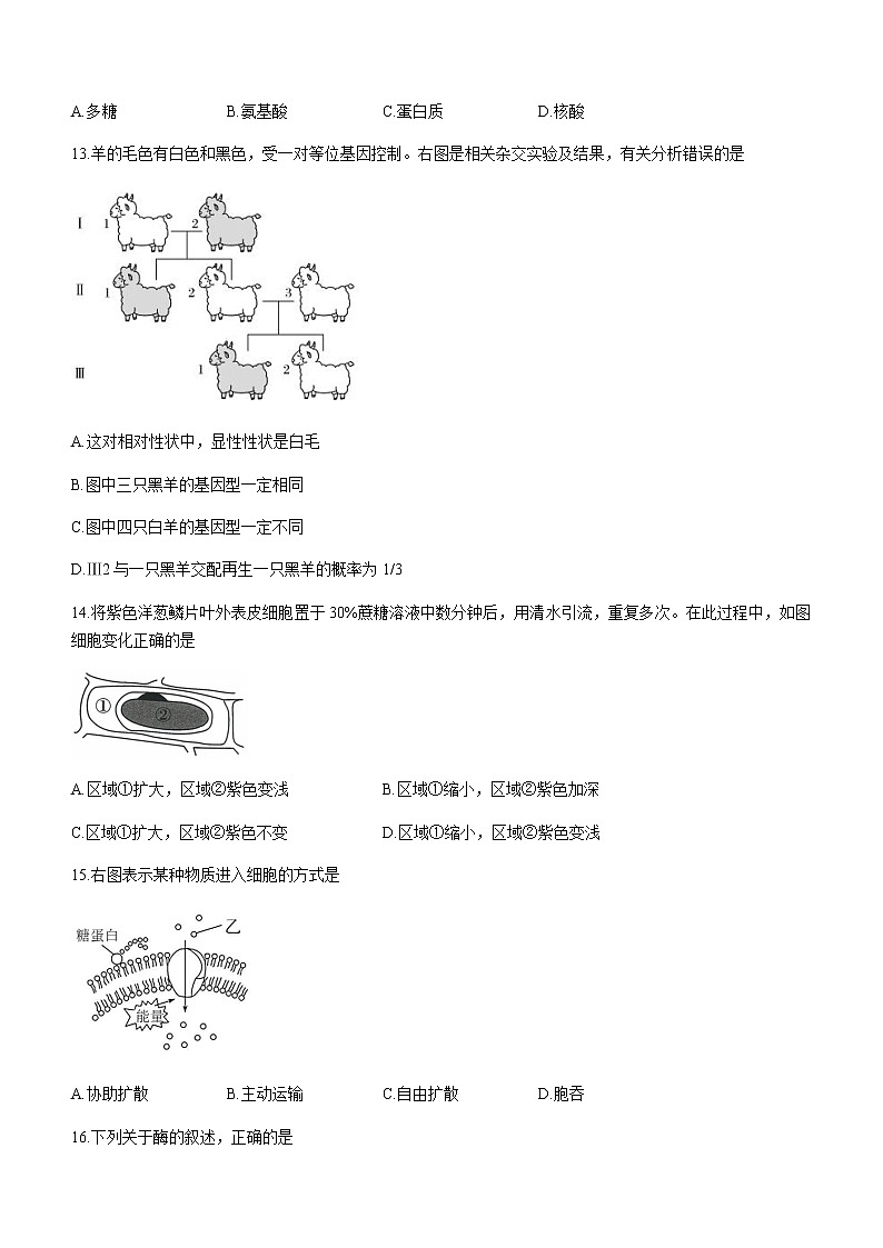 2022-2023学年江苏省淮安市高中校协作体+2022～2023学年高一下学期期中生物试题含答案第3页