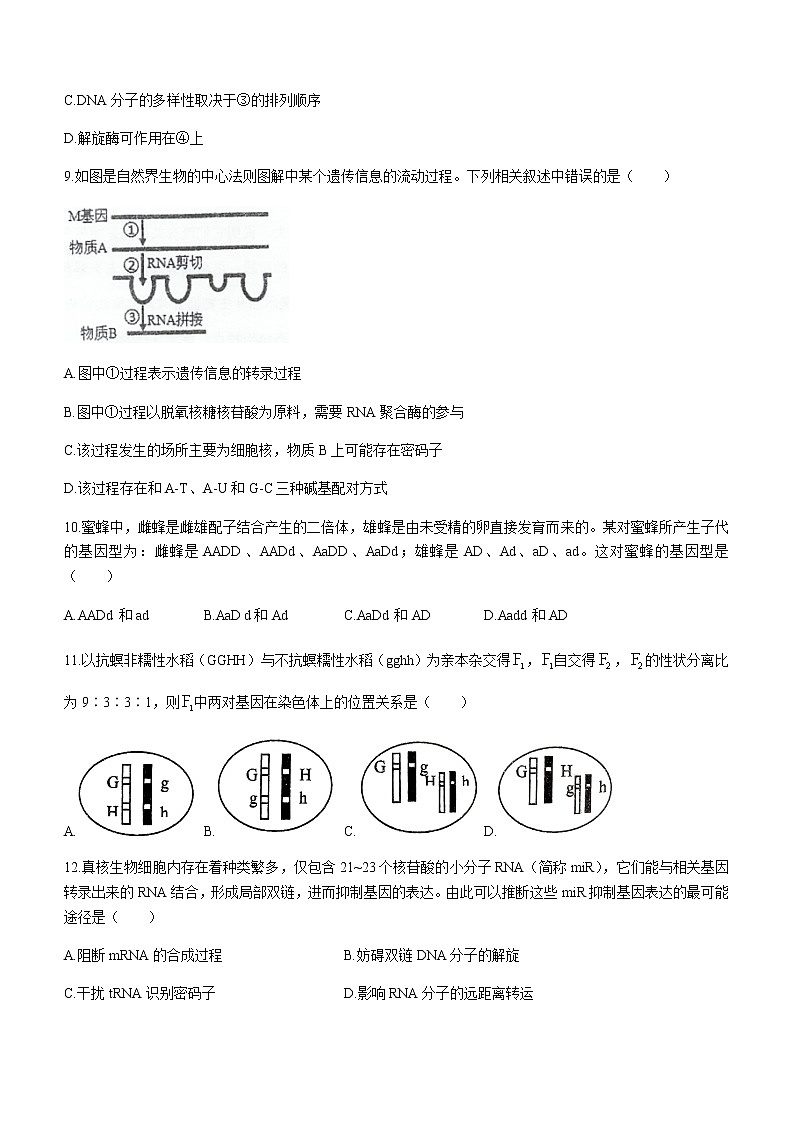2022-2023学年江苏省泰州中学高一下学期期中生物试题含答案03