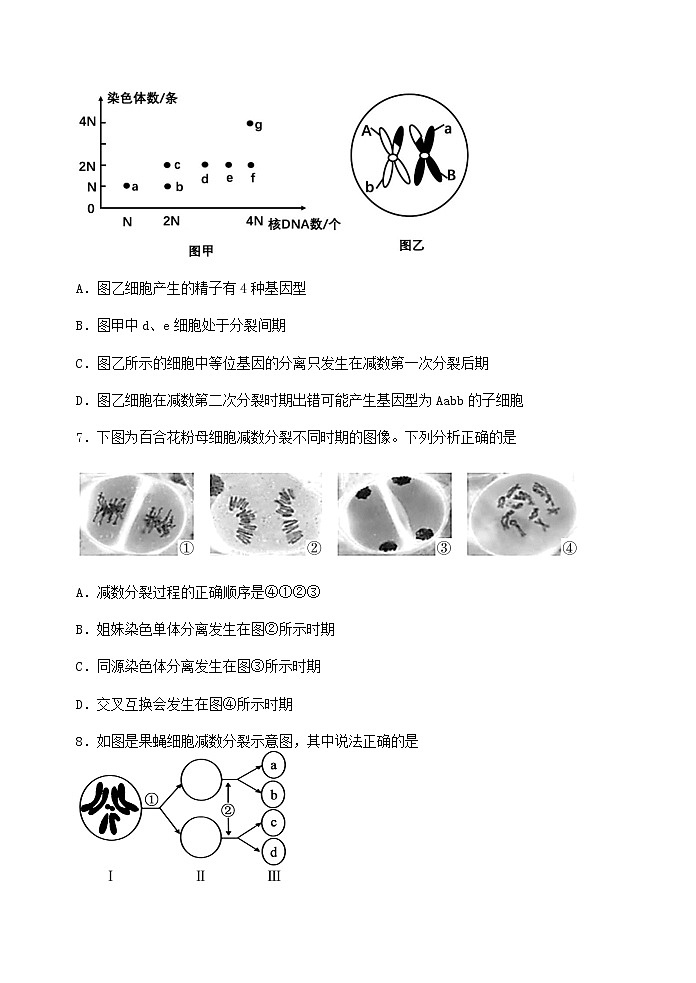 2022-2023学年江苏省扬州中学高一下学期4月期中生物试题含答案03