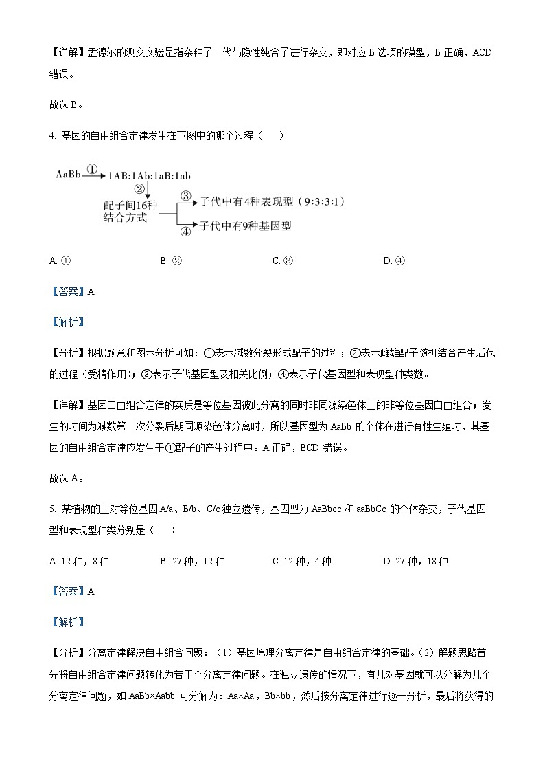 2022-2023学年陕西省西安工业大学附中高一下学期期中生物试题含解析03