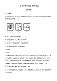 2022-2023学年学年湖北省宜昌市协作体高一下学期期中生物试题含解析