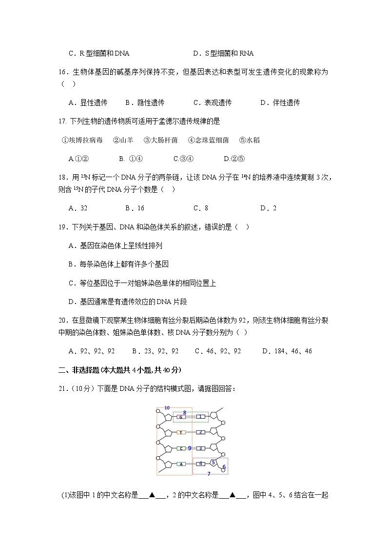 2022-2023学年浙江省宁波市北仑中学高一下学期期中考试生物（学考）试题含答案03