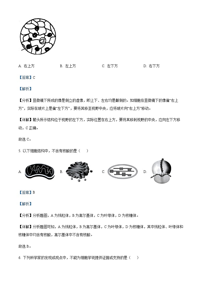 2022-2023学年浙江省杭州地区(含周边)重点中学高一下学期期中生物试题含解析03