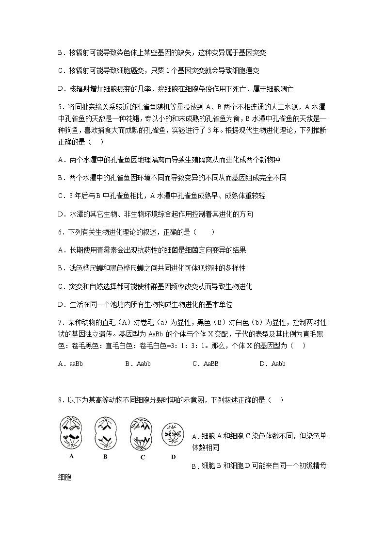 2022-2023学年浙江省宁波市北仑中学高一下学期期中考试生物（选考）试题含答案02