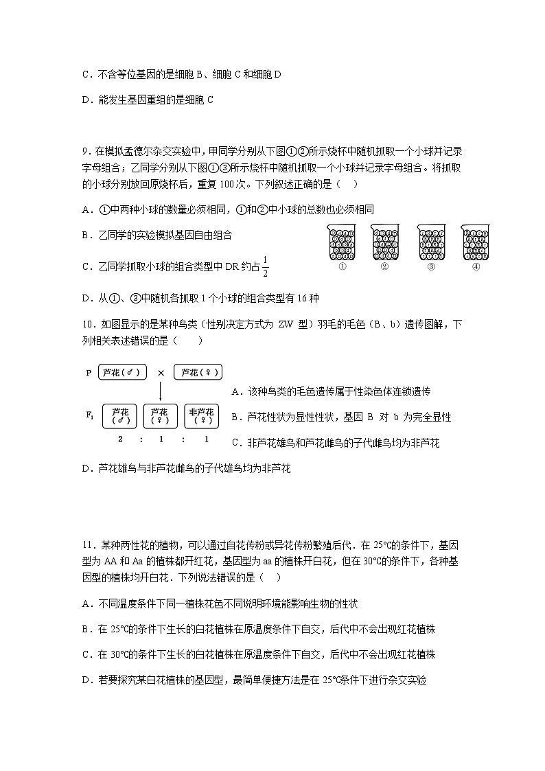 2022-2023学年浙江省宁波市北仑中学高一下学期期中考试生物（选考）试题含答案03