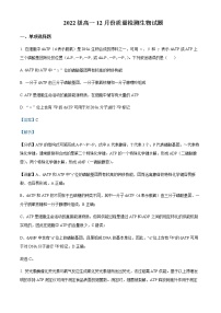 2022-2023学年山东省东营市利津县高级中学高一12月月考生物试题含解析