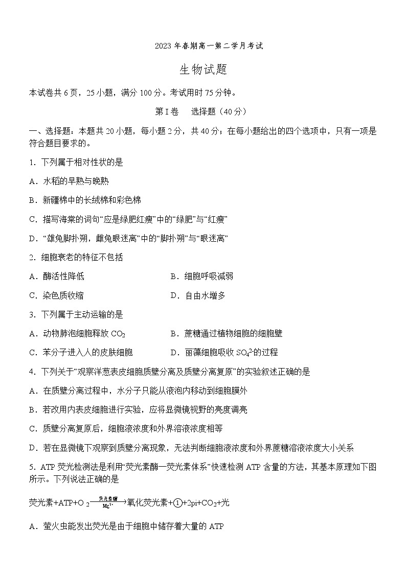 2022-2023学年四川省宜宾市叙州区第二中学校高一第二学月考试生物试题含答案01