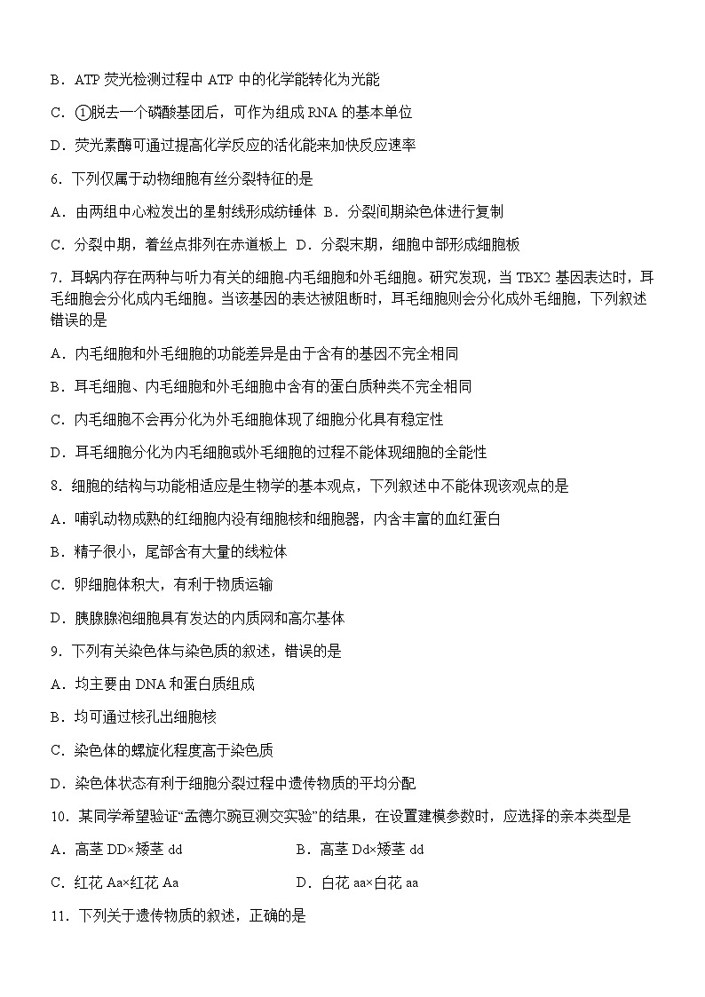 2022-2023学年四川省宜宾市叙州区第二中学校高一第二学月考试生物试题含答案02