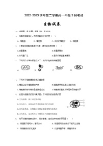 2022-2023学年新疆维吾尔自治区喀什第二中学高一下学期3月月考生物试题含答案