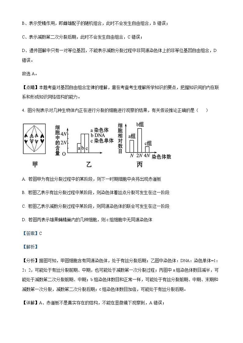 2022-2023学年学年山东省菏泽市成武县第二中学高一4月月考生物试题含解析第3页