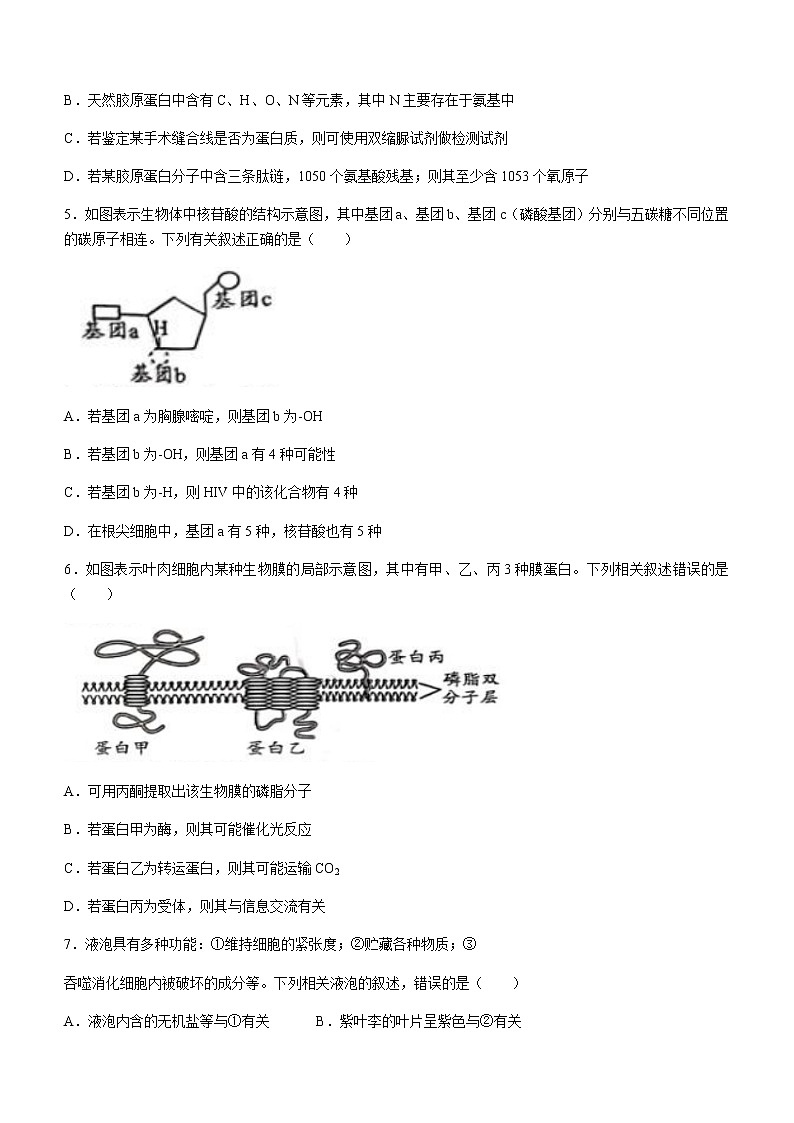 2022-2023学年安徽省十校联盟高一下学期开年考生物试题含答案02