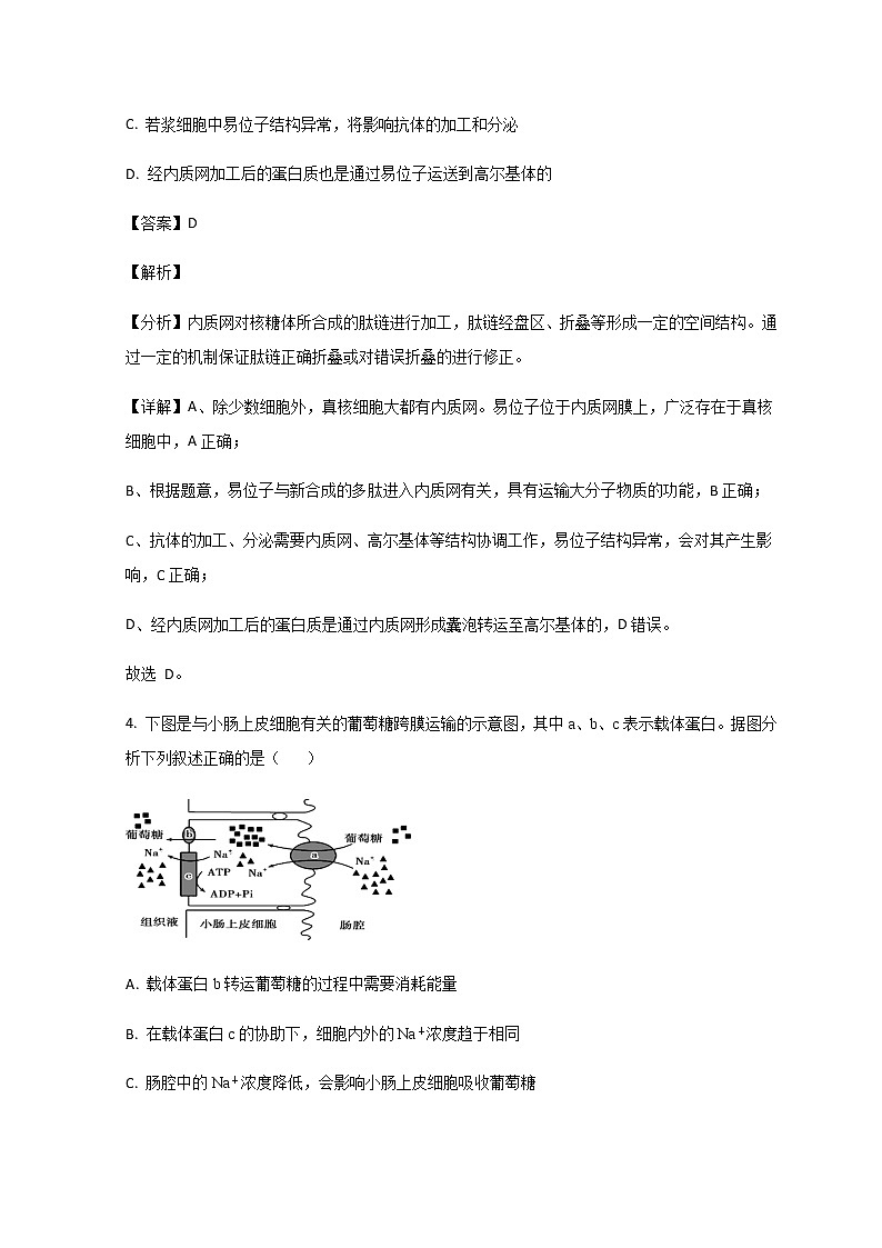 2021-2022学年山东省菏泽市高二下学期期末考试生物试题解析版03