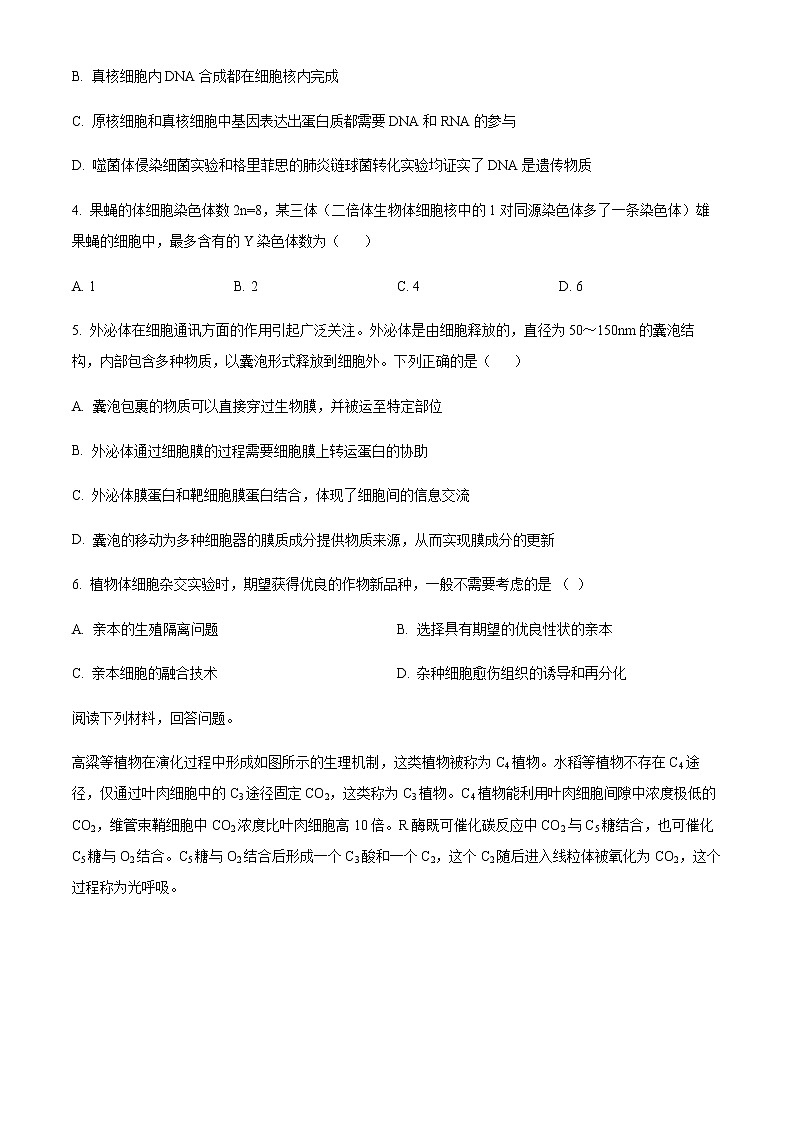 精品解析：2023届浙江省宁波十校高三3月联考生物试题02