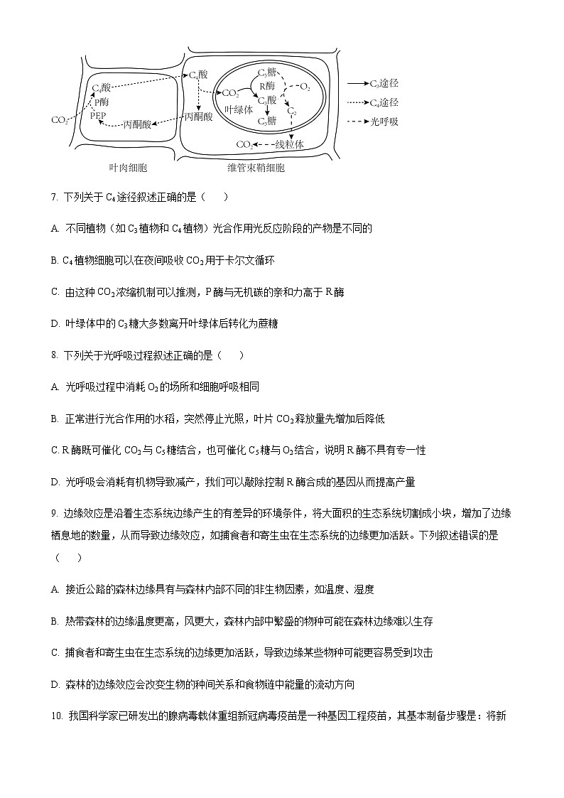 精品解析：2023届浙江省宁波十校高三3月联考生物试题03