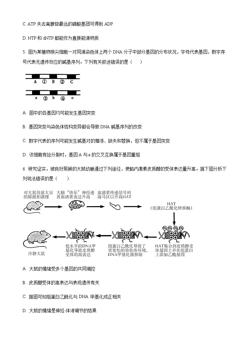 精品解析：2023届浙江省杭州地区(含周边)重点中学高三一模生物试题02