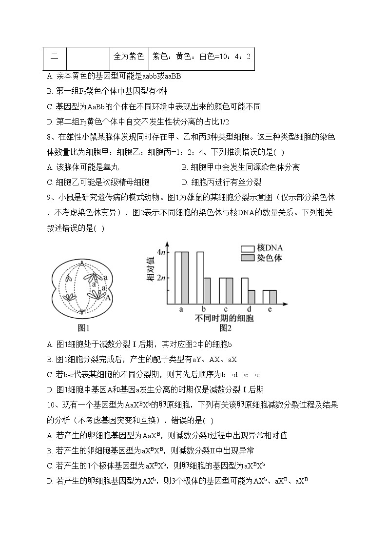 山东省招远第一中学2022-2023学年高一下学期期中考试生物（等级考）试卷（含答案）03