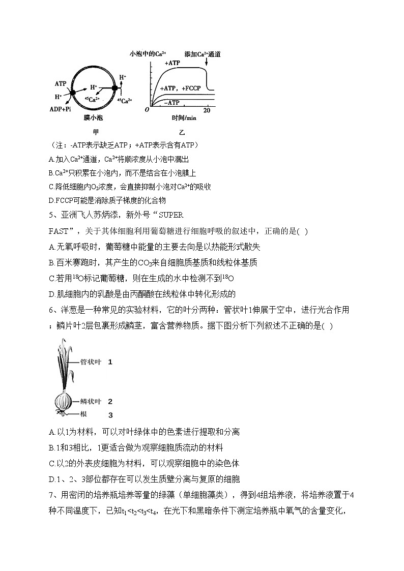 襄阳市第五中学2021-2022学年高一下学期期中考试生物试卷（含答案）02