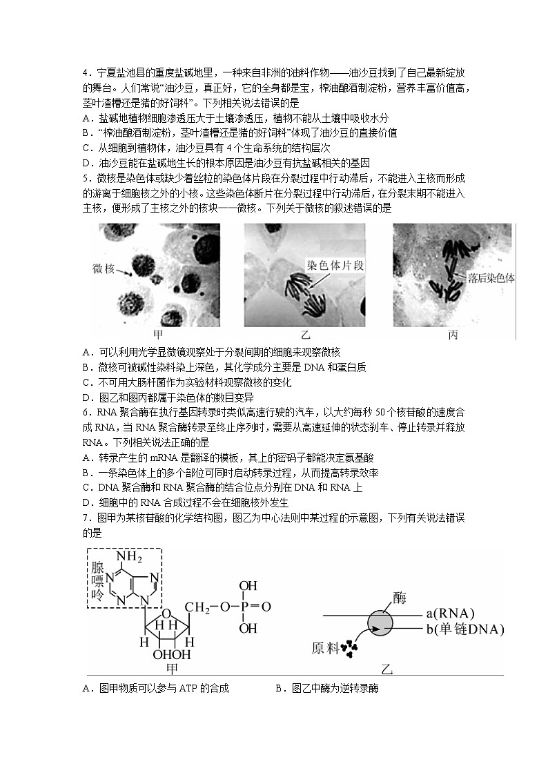 湖北省2023届高三生物下学期4月第八届调研模拟试卷（Word版附答案）02