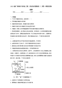 2023届广西南宁市高三第二次适应性测试（二模）理综生物试题（含答案）