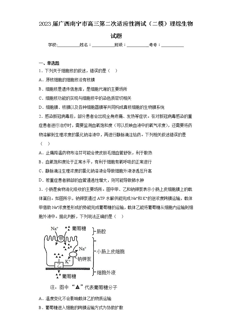 2023届广西南宁市高三第二次适应性测试（二模）理综生物试题（含答案）01