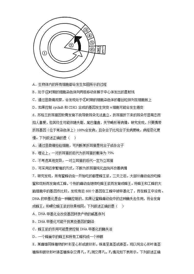2023届湖北省名校联盟高三第三次测评生物试题（含答案）第2页
