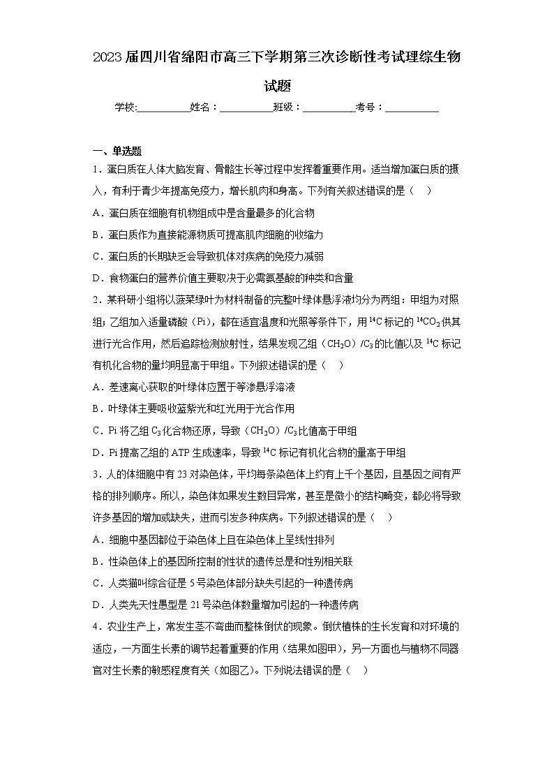 2023届四川省绵阳市高三下学期第三次诊断性考试理综生物试题（含答案）01