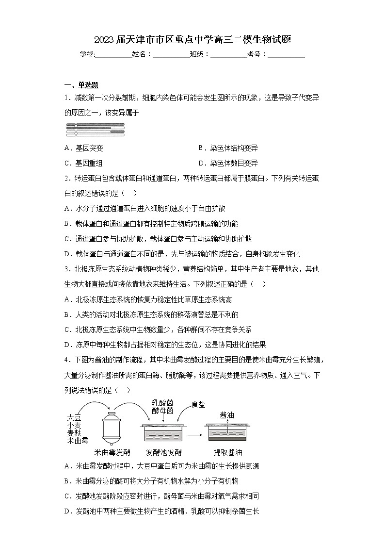 2023届天津市市区重点中学高三二模生物试题（含答案）01