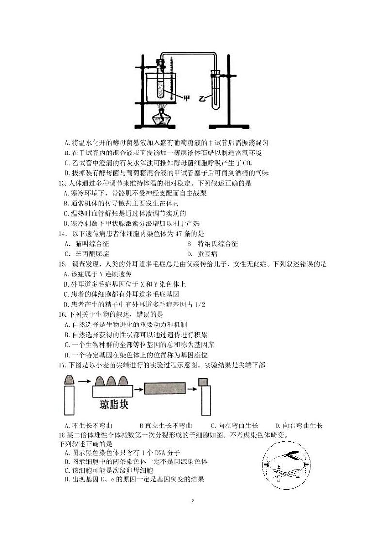 浙江省台州市七校联盟2019-2020学年高二上学期期中联考生物试题第2页