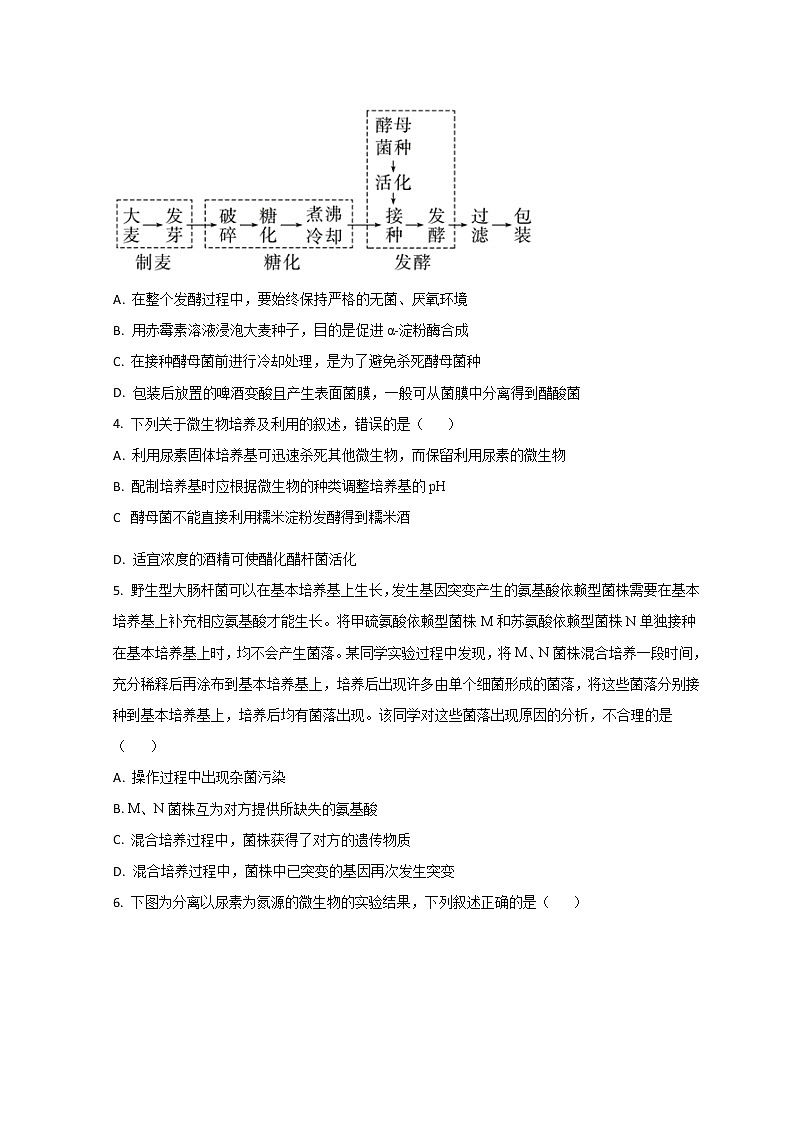 2023青岛十九中高二下学期4月月考生物试题含解析02