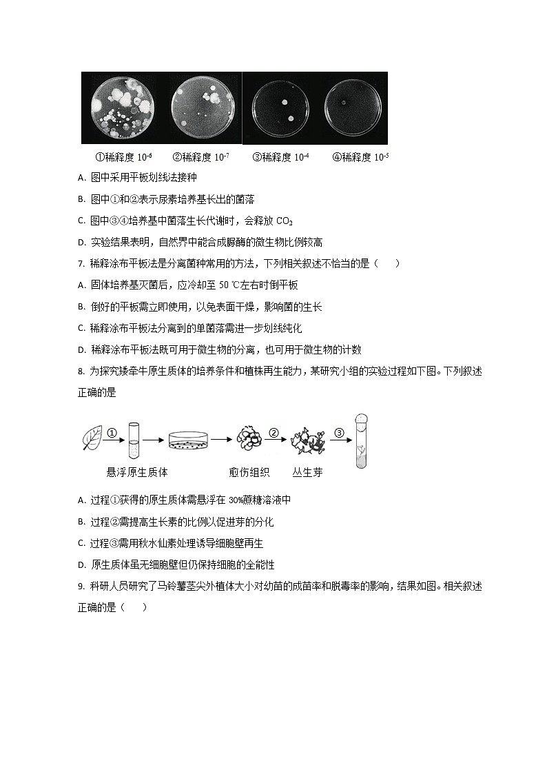 2023青岛十九中高二下学期4月月考生物试题含解析03