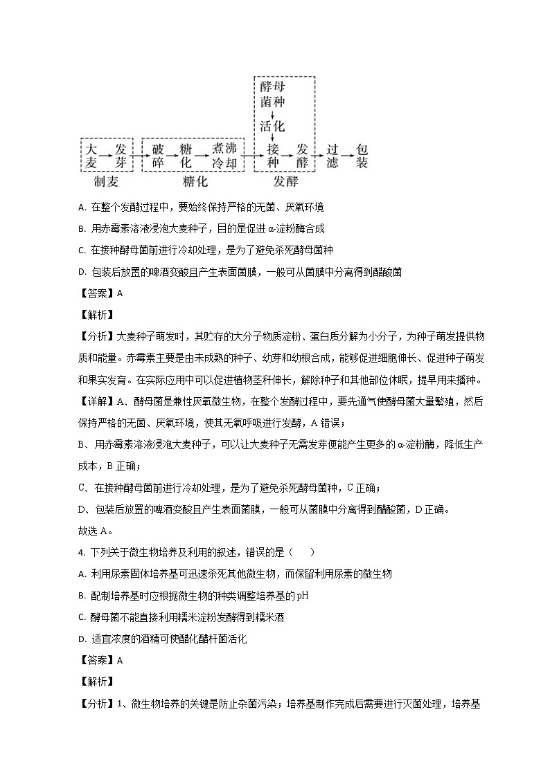 2023青岛十九中高二下学期4月月考生物试题含解析03