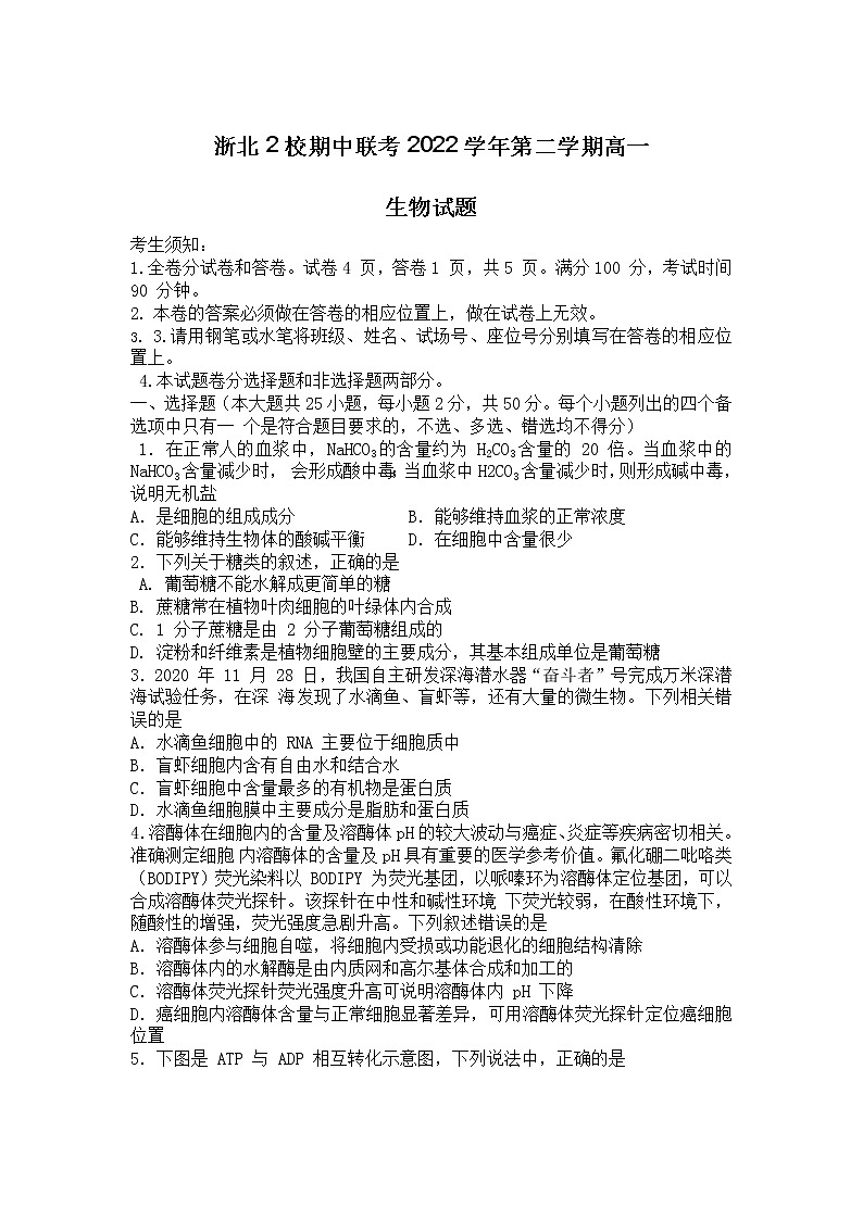 浙江省浙北2校2022-2023学年高一生物下学期4月期中联考试卷（Word版附答案）01