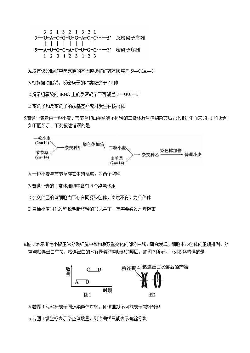 2023届山东省枣庄市高三下学期二模考试生物试题含答案03