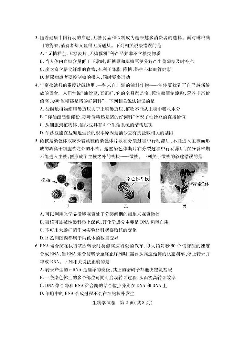 2023届湖北省第八届高三（4月）调研模拟考试生物试卷PDF版含答案02