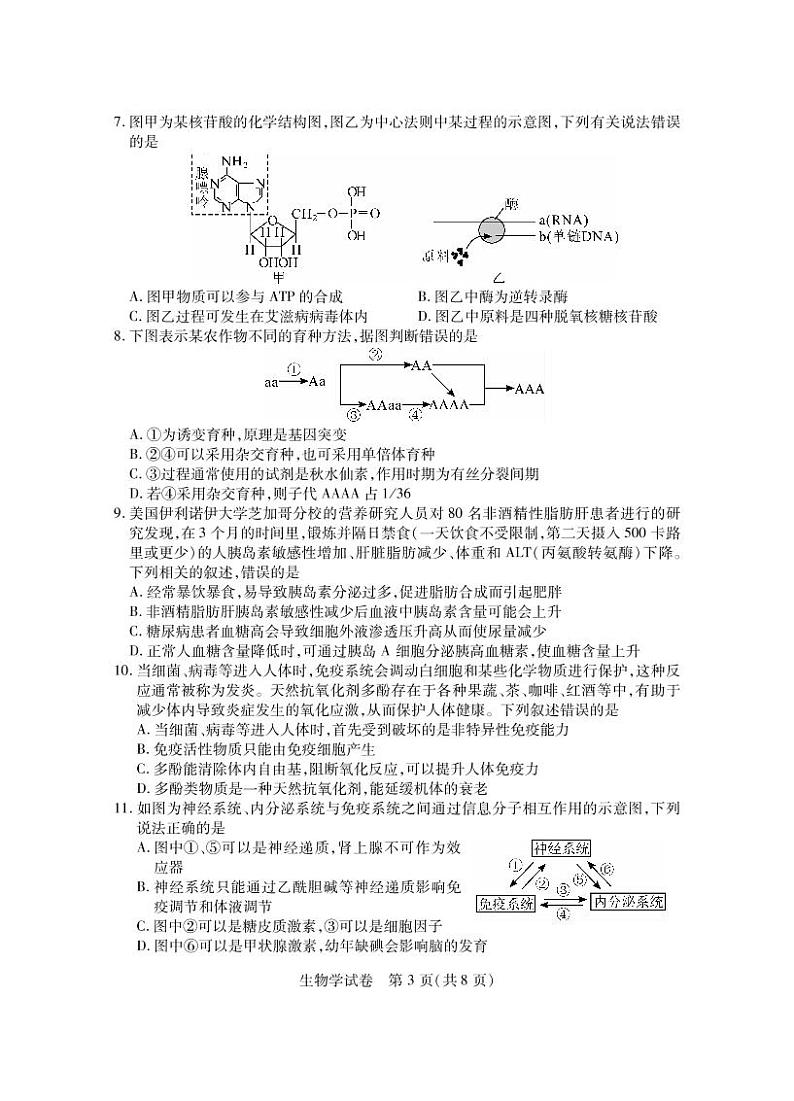 2023届湖北省第八届高三（4月）调研模拟考试生物试卷PDF版含答案03