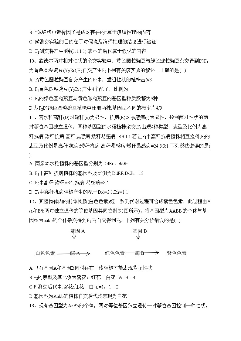 河南省2022-2023学年高一下学期阶段性测试（三）生物试卷（含答案）第3页