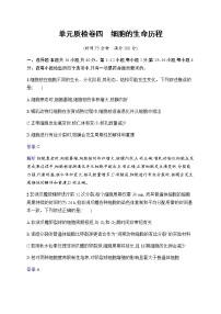 2023届人教版高考生物一轮复习细胞的生命历程单元检测（广东、福建、重庆专用）含答案