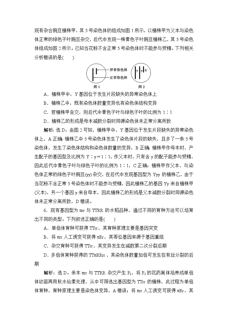 2023届苏教版高考生物一轮复习生物的变异和进化单元测试含答案第3页
