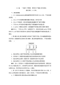 2023届苏教版高考生物一轮复习遗传的分子基础单元测试含答案