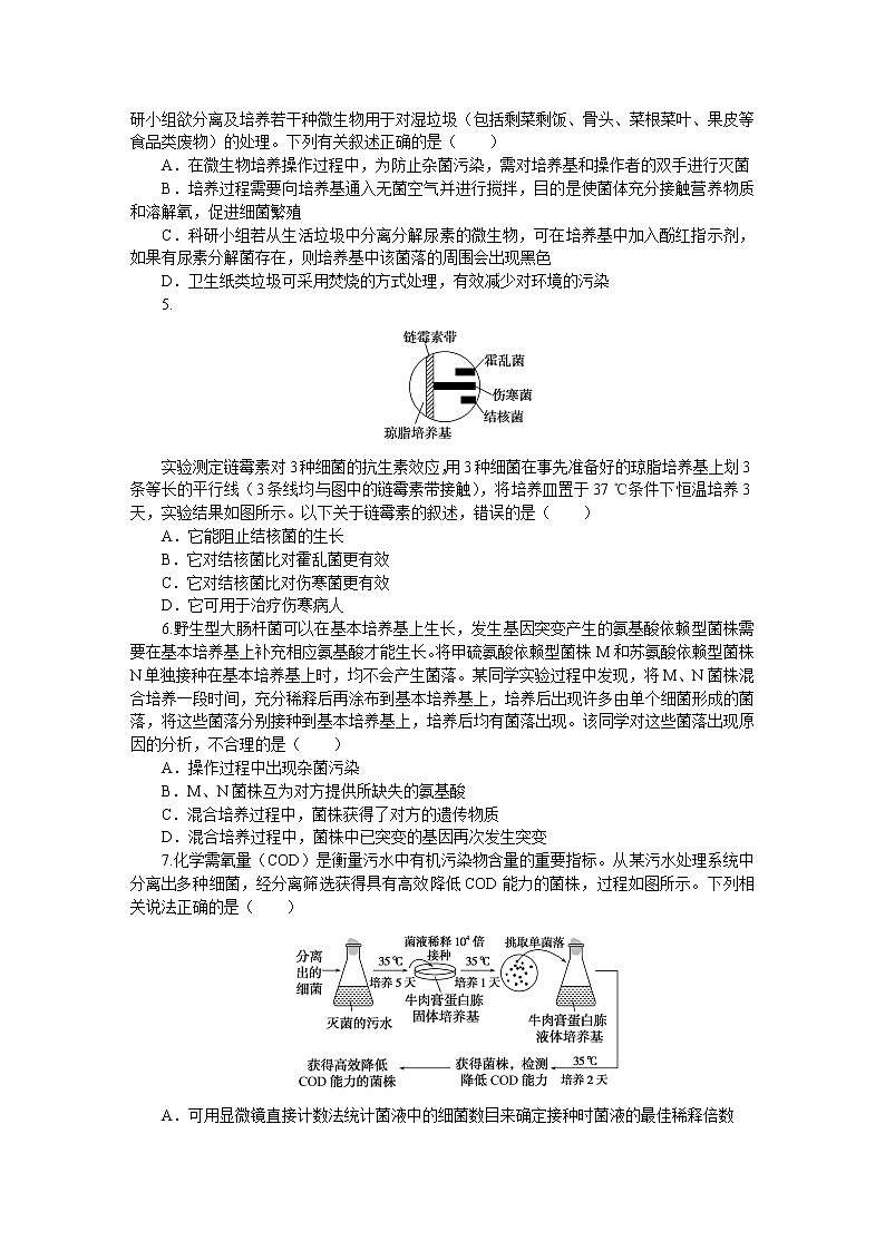 2023届人教版高考生物一轮复习生物技术与工程阶段检测（山东版）含答案02