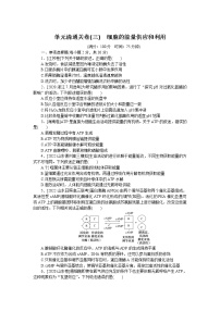 2023届人教版高考生物一轮复习细胞的能量供应和利用单元测试（山东版）含答案