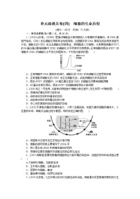 2023届人教版高考生物一轮复习细胞的生命历程单元测试（山东版）含答案