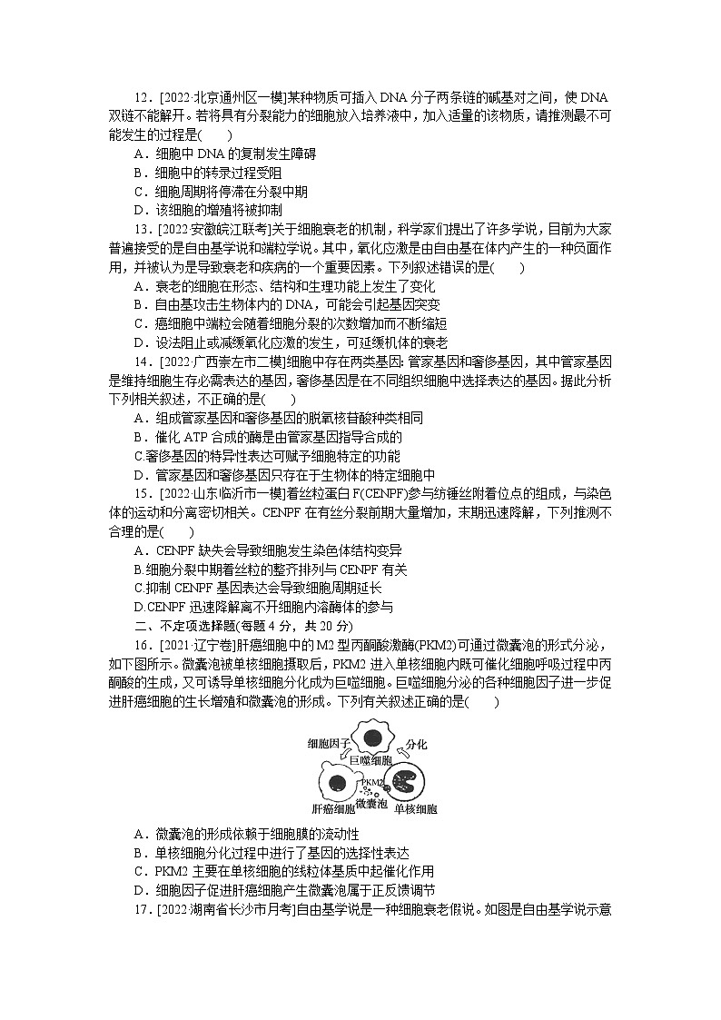 2023届人教版高考生物一轮复习细胞的生命历程单元测试（山东版）含答案03